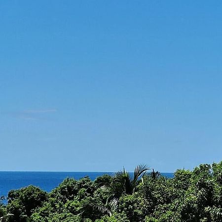 Joli T2 En Bas De Villa Vue Jardin Et Mer فيو-هابيتانتيس المظهر الخارجي الصورة